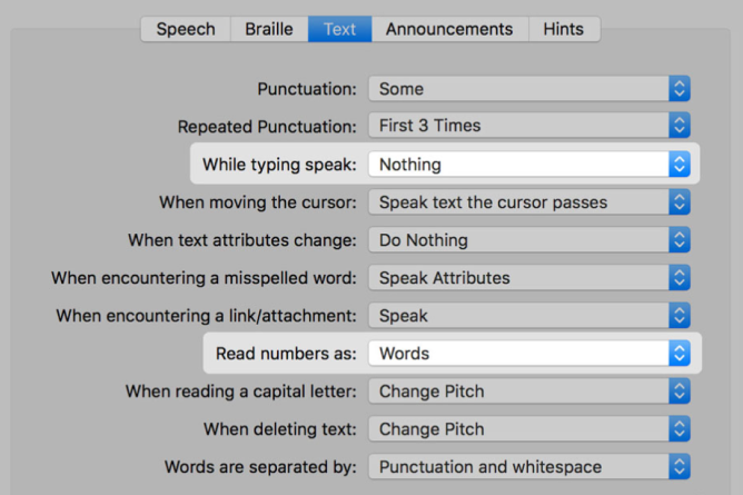 Accessibility Set Up. Screenshot.